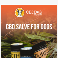 CBD Dog Health email thumbnail