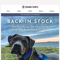 Spark Paws email thumbnail