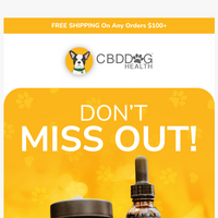 CBD Dog Health email thumbnail