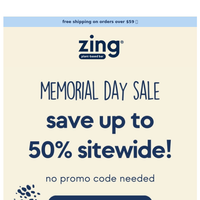 Zing Bars email thumbnail