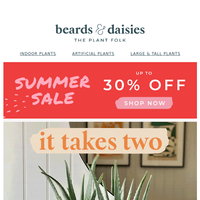 Beards & Daisies email thumbnail