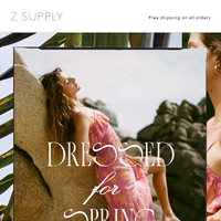 Z SUPPLY email thumbnail