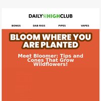 Daily High Club email thumbnail