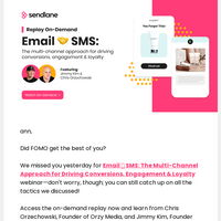 Sendlane email thumbnail