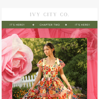 Ivy City Co email thumbnail