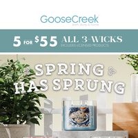 Goose Creek email thumbnail