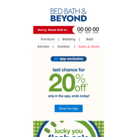 Bed Bath and Beyond email thumbnail