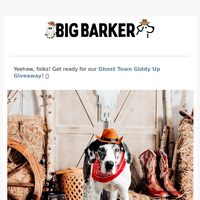 Big Barker email thumbnail