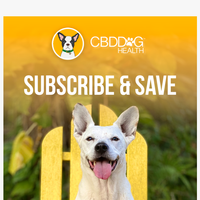 CBD Dog Health email thumbnail