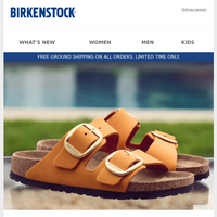 Birkenstock email thumbnail