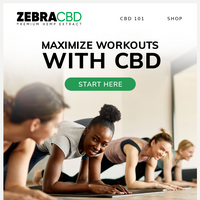 ZebraCBD email thumbnail