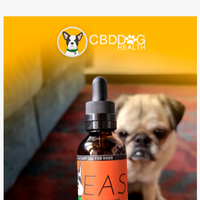 CBD Dog Health email thumbnail