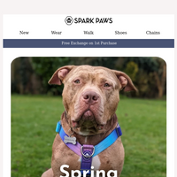 Spark Paws email thumbnail