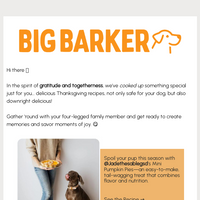 Big Barker email thumbnail