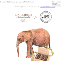 L.A. Burdick Chocolate email thumbnail