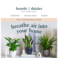 Beards & Daisies email thumbnail