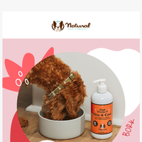 Natural Dog Company  email thumbnail