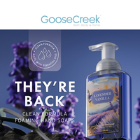 Goose Creek email thumbnail