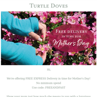 Turtle Doves email thumbnail