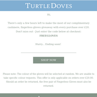 Turtle Doves email thumbnail