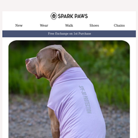 Spark Paws email thumbnail