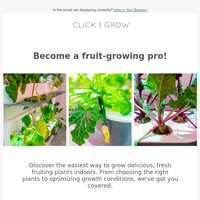 Click & Grow email thumbnail