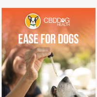 CBD Dog Health email thumbnail