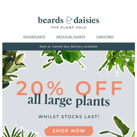 Beards & Daisies email thumbnail