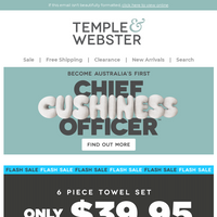 Temple & Webster email thumbnail