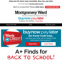 Montgomery Ward email thumbnail