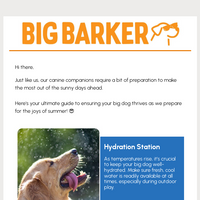 Big Barker email thumbnail