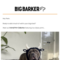 Big Barker email thumbnail