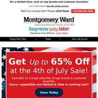 Montgomery Ward email thumbnail