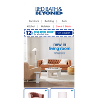 Bed Bath and Beyond email thumbnail