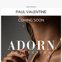 Paul Valentine email thumbnail