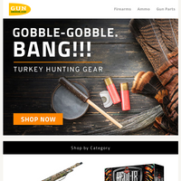 GunBroker email thumbnail