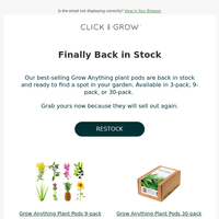 Click & Grow email thumbnail