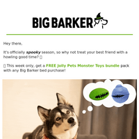 Big Barker email thumbnail