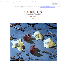 L.A. Burdick Chocolate email thumbnail