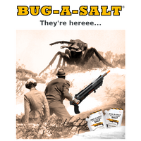 Bug-A-Salt email thumbnail