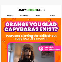 Daily High Club email thumbnail