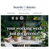 Beards & Daisies email thumbnail