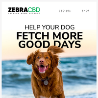 ZebraCBD email thumbnail