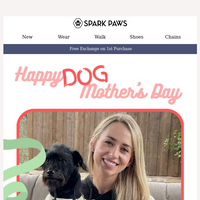 Spark Paws email thumbnail