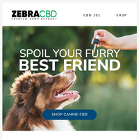 ZebraCBD email thumbnail