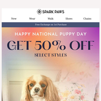 Spark Paws email thumbnail