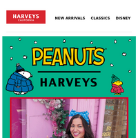 Harveys email thumbnail