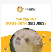 CBD Dog Health email thumbnail