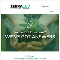 ZebraCBD email thumbnail