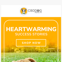 CBD Dog Health email thumbnail